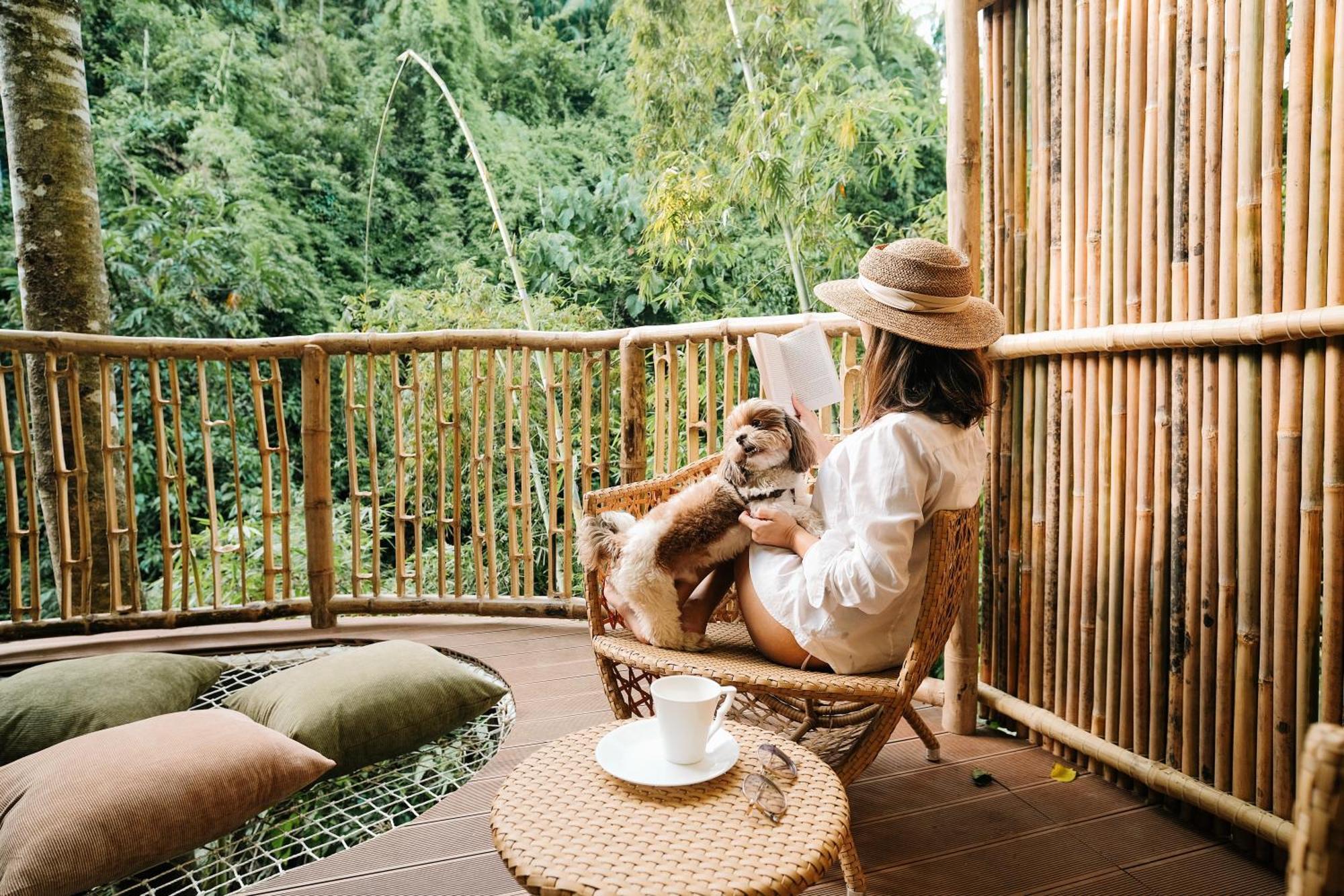 Treehouse De Valentine Villa Balamban Екстериор снимка